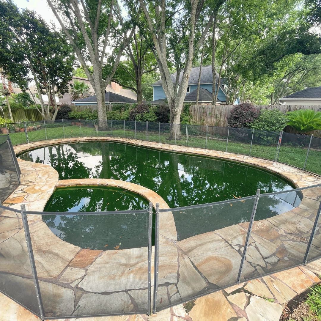 Why Did My Pool Turn Green After it Rained?